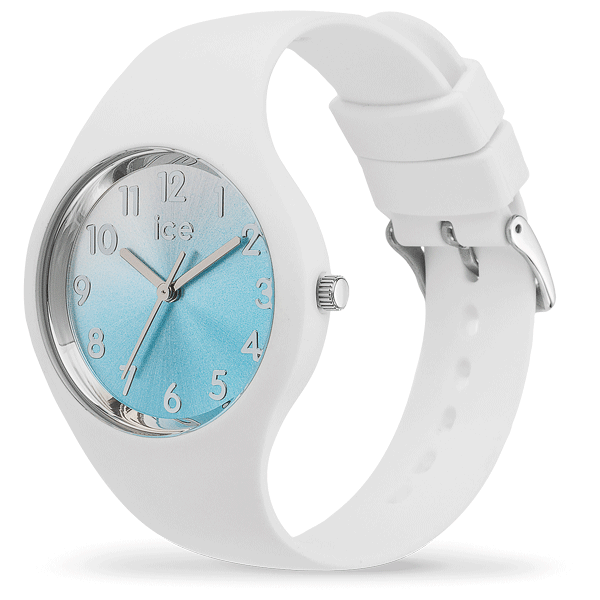 ice watch 015745