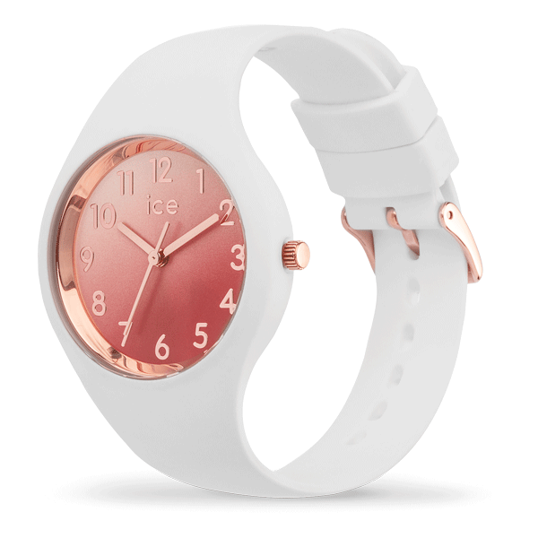 ice watch 015744