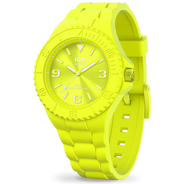 ice watch 019161