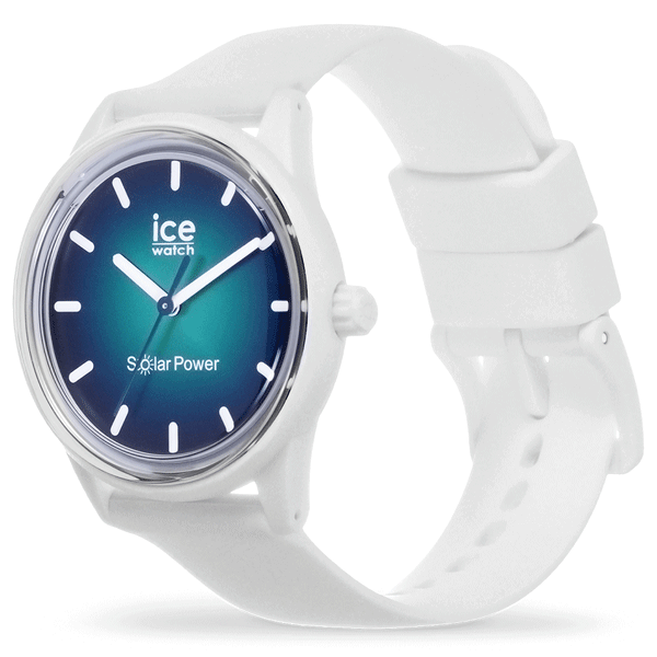 ice watch 019029