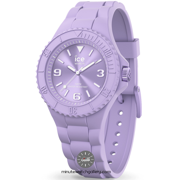 ice watch 019147