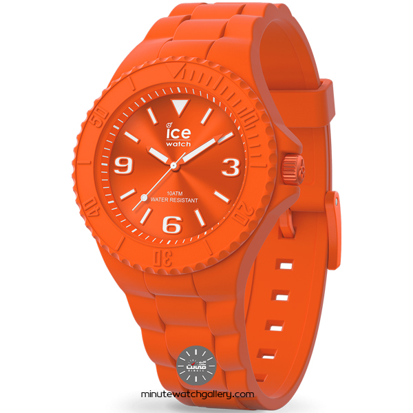 ice watch 019873