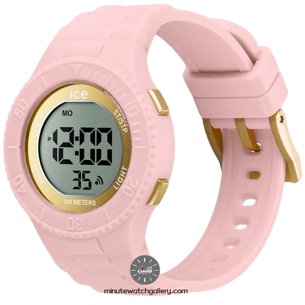 ice watch 021608